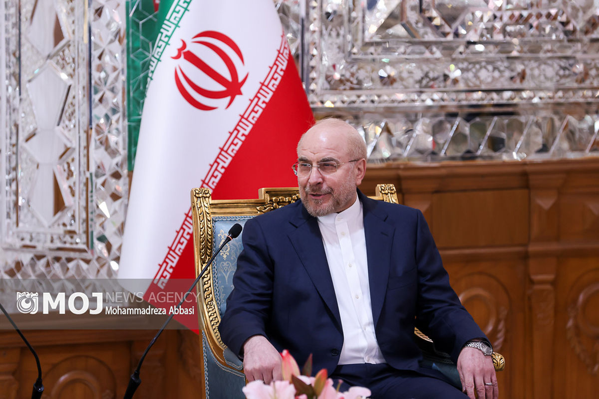 دیدتر نخست وزیر عراق با رئیس مجلس شورای اسلامی