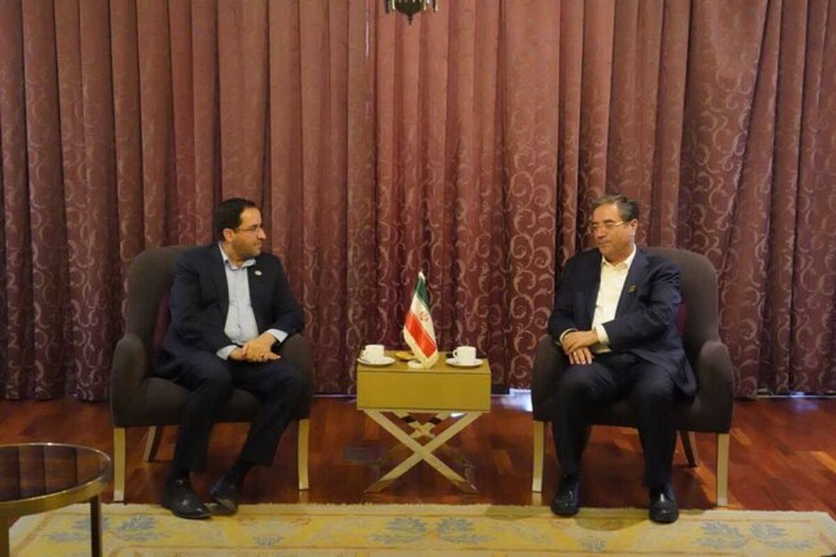 رضا افلاطونی