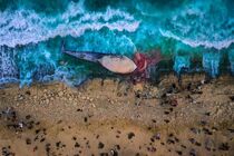کسب مدال طلا و دیپلم افتخار هشتاد و پنجمین دوره مسابقه عکاسی آساهی شیمبون ژاپن توسط عکاس جزیره کیش