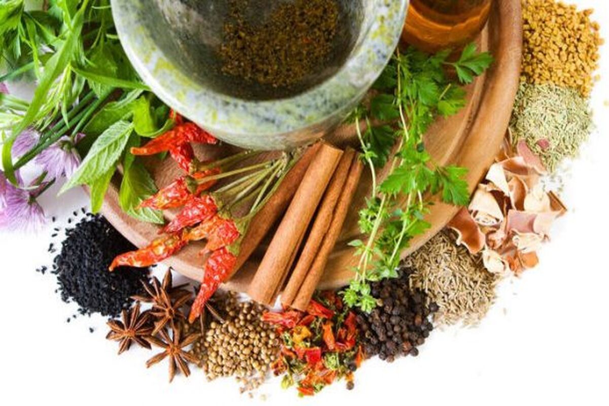 گیاهان دارویی1