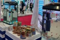 نمایشگاه دام، طیور و آبزیان اردبیل؛ گامی موثر برای توسعه آبزی‌پروری استان