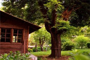 روایت مدیر مجموعه توریستی از موازی‌کاری اداری که نفس سرمایه گذار را گرفته است