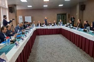 ضرورت بین‌المللی کردن تالاب‌ها / شناسایی و ثبت ۲۲۵ تالاب در کشور