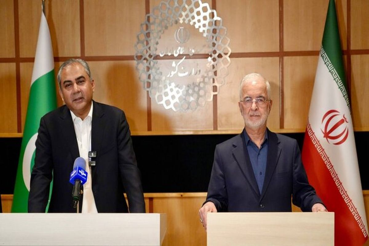 وزیر کشور پاکستان