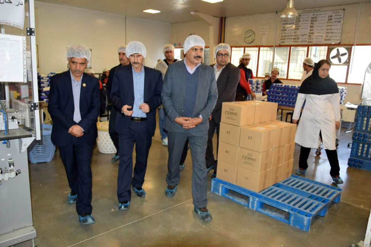 بازدید قائدی