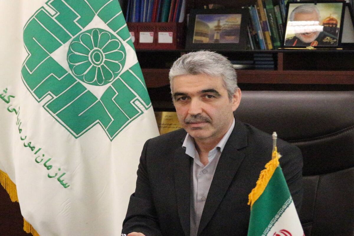 داریوش سرخانی مقدم مدیر کل امور مالیاتی استان اردبیل