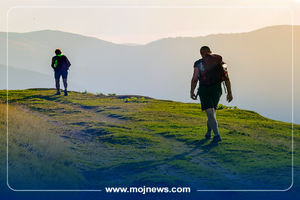 اینفوگرافیک/چندقدم در روز برای سلامتی واقعا لازم است؟