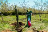 اهتزاز پرچم رویش در پایتخت فرهنگی ایران؛ تجلی میثاق امت با ولایت در روز طبیعت شیراز