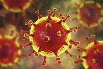 آخرین وضعیت رنگ‌بندی استان اصفهان در مقابله با ویروس کرونا 