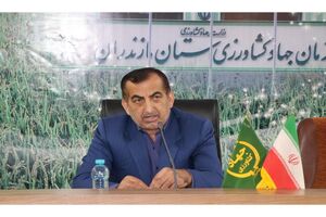 تولید محصولات کشاورزی خط قرمز جهاد کشاورزی است/ خوداتکایی در تولید برنج با حمایت از ارقام پرمحصول