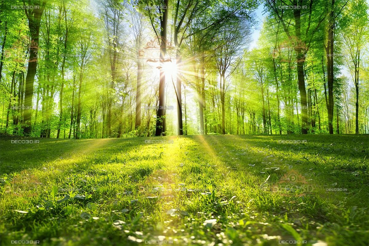 دمای هوای گیلان