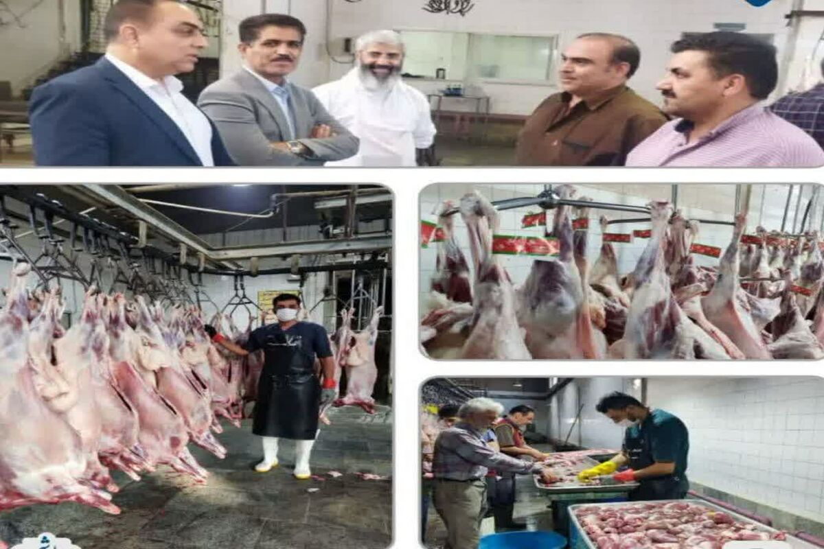 ذبح دام