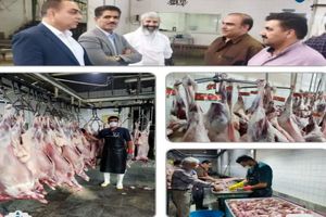 ذبح بیش از 270 دام سبک و سنگین در کشتارگاه صنعتی دام کاشان