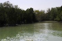 9 هزار گردشگر از تالاب تیاب بازدید کردند