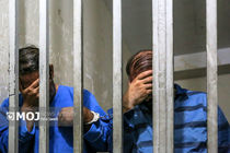 کشف ۲۲ فقره سرقت با دستگیری دو سارق حرفه‌ای در شهریار
