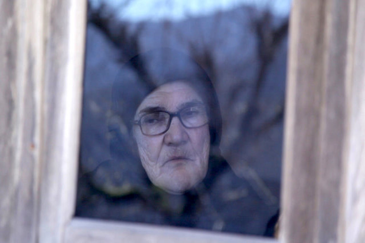 مستند لوتوس