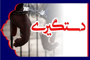 دستگیری ۴۷ سارق اموال خصوصی و عمومی شهروندان در آبادان