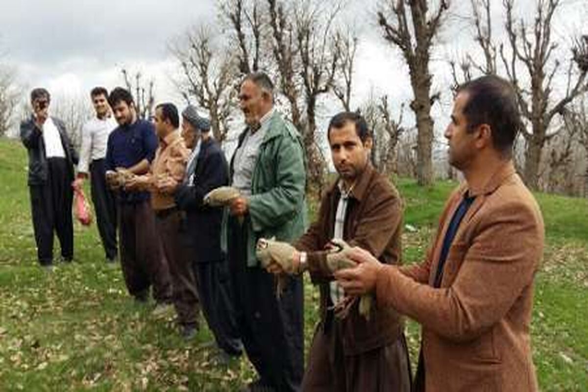 دوستدار طبیعت