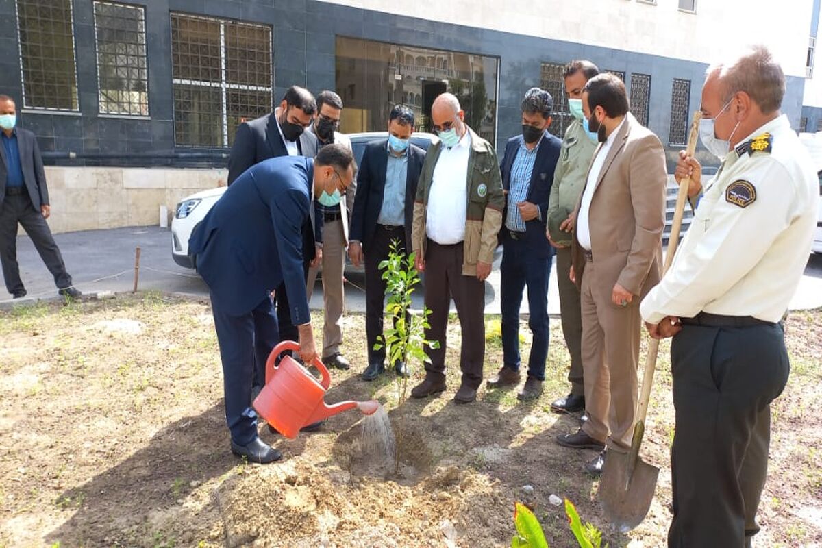 اراضی ملی