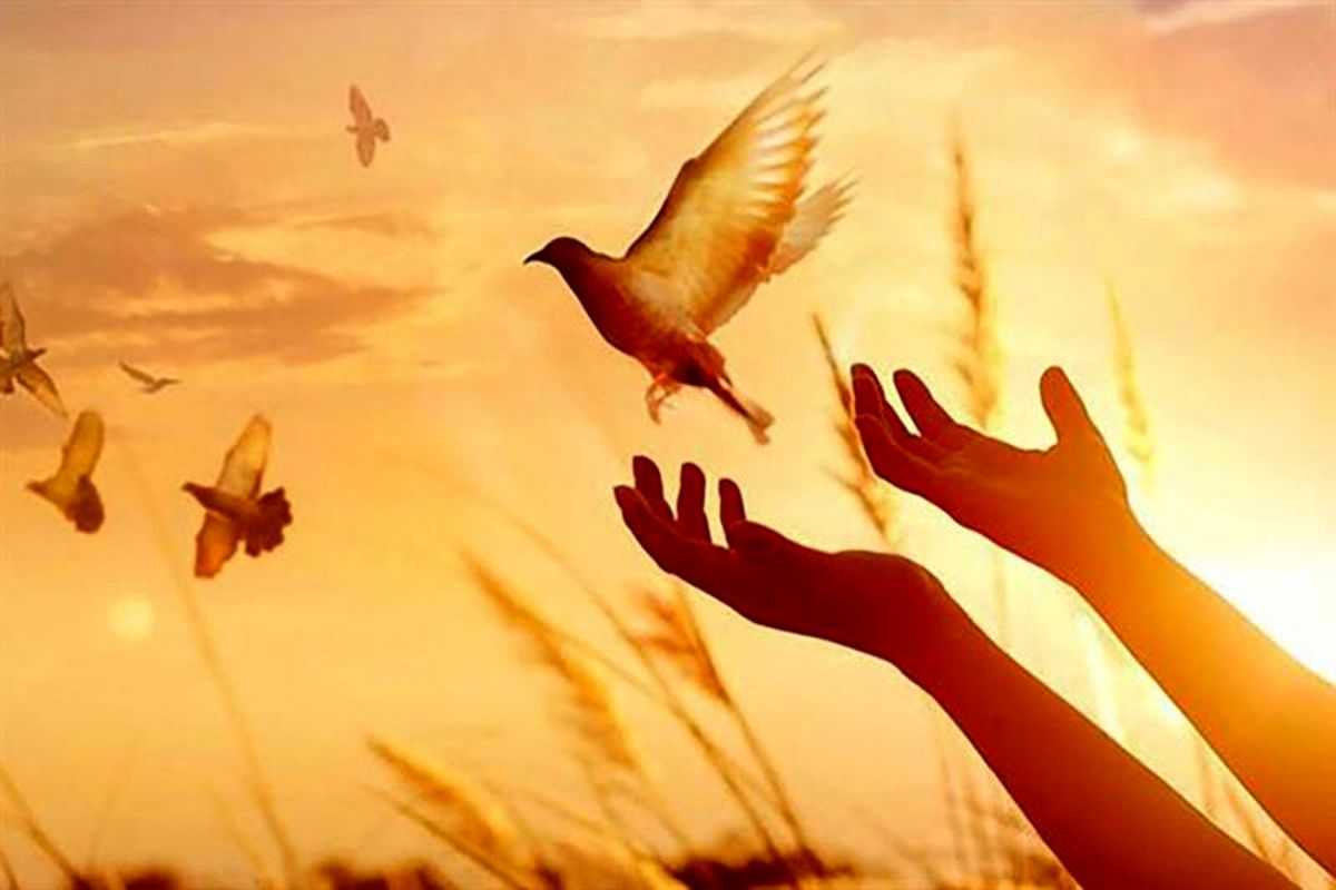 آزادی زندانی