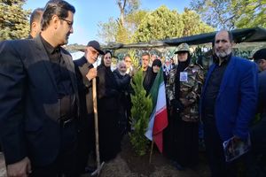 کاشت نهال امید به نام سردار جنگل حاج مجید ذکریایی در جوار مزار شهید