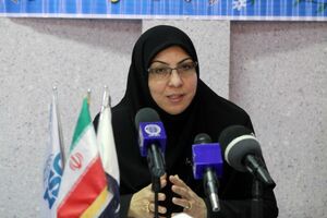 پیشرفت اقتصادی مستلزم حرکت تولید و خدمات روی ریل استاندارد است