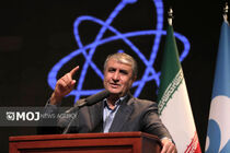 توافق شود، بازرسان آمریکایی را هم از طریق آژانس می‌پذیریم
