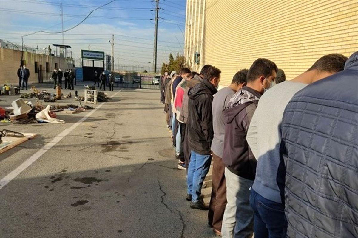 طرح ضربتی مقابله با مالخران