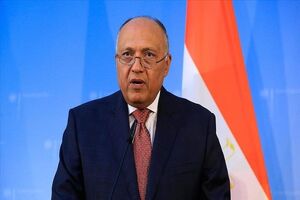 Iran-Egypt are united in support of Palestine