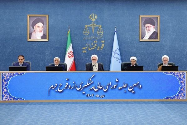 مشارکت سمن‌ها در پیشگیری از جرم اجتناب‌ناپذیر است