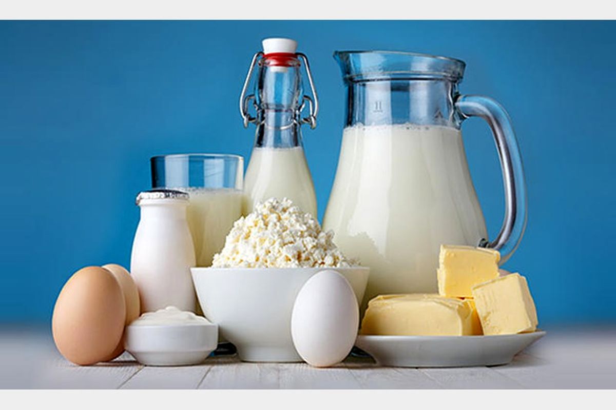 محصولات لبنی