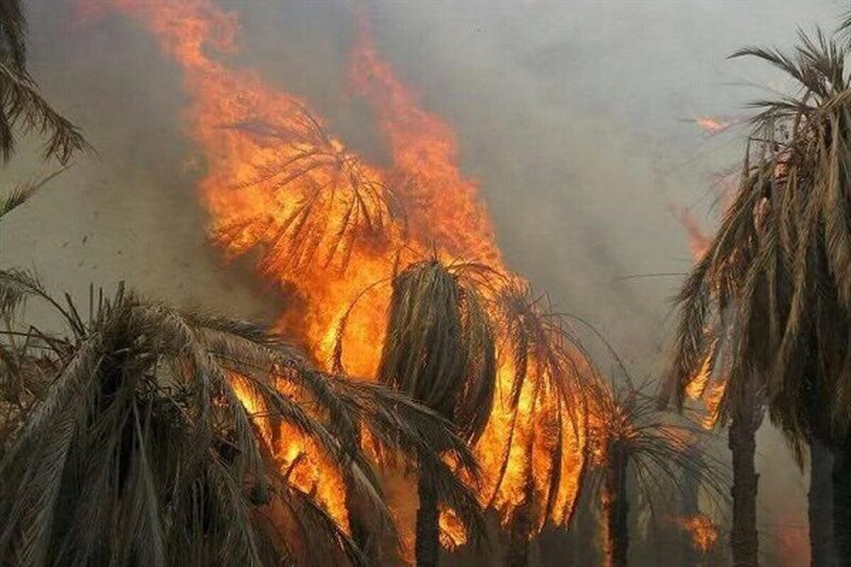 آتش سوزی