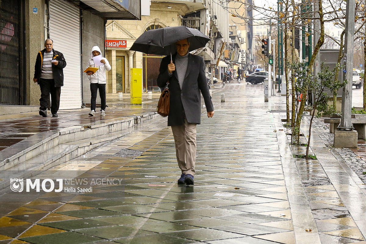 بارش باران در تهران