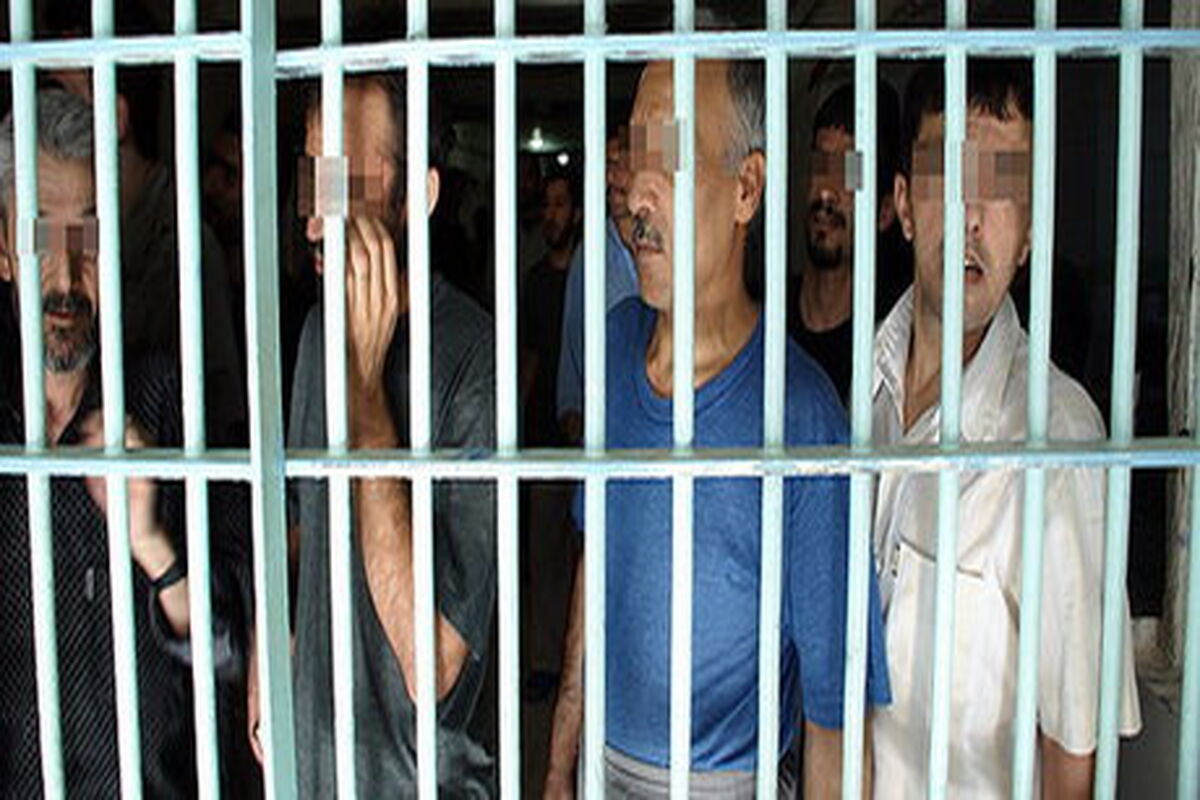 زندانی