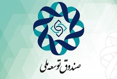 سرمایه بخش صنعت و معدن از صندوق توسعه ملی تامین شد