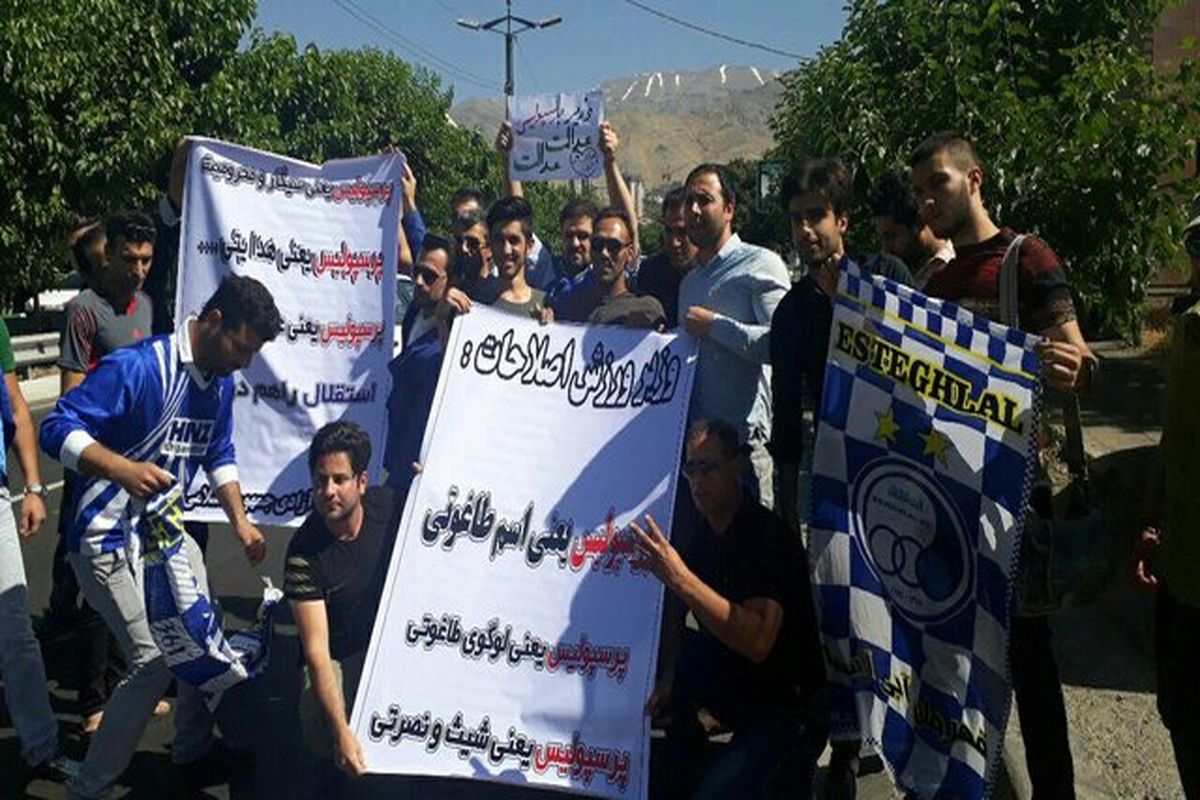 هوادار استقلال