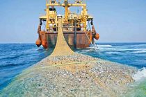 شناور غیرمجاز صید ترال در جاسک توقیف شد