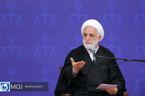 دولت با همکاری سایر قوا جلوی آسیب دیدن مردم از ناتزاری‌ها را بگیرد