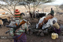 چگونگی پرورش دام در کشور کنیا