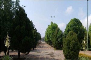 آواز «از گلوی من دستاتو بردار» از کوی فدک