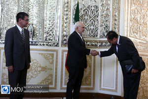 دیدار وزیر خارجه ژاپن با ظریف