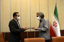 یک انتصاب جدید در سازمان سینمایی/بابک رضایی جانشین روح الله حسینی شد