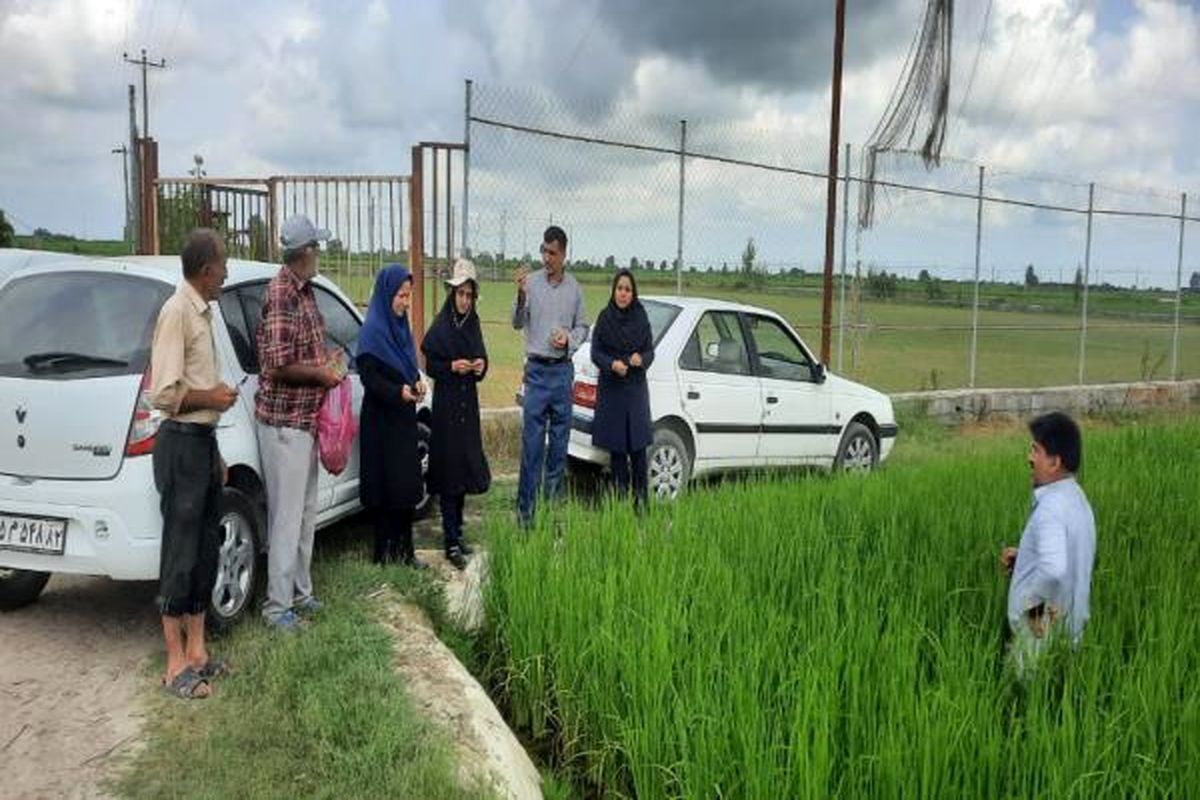 جهادکشاورزی مازندران