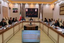 6 هزار طرح در سیستان و بلوچستان تسهیلات اشتغال دریافت کردند