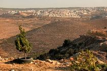 کانکس توسط صهیونیست‌ها در اراضی فلسطینیان رام‌الله مستقر شد