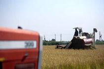 زمین های کشاورزی مقصد هوش مصنوعی 