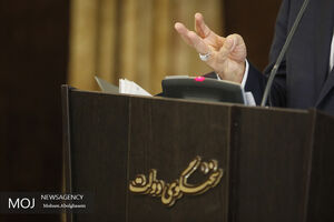 نشست خبری سخنگوی جدید دولت به زمان دیگری موکول شد