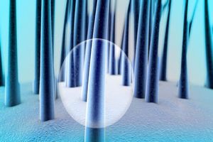 کشف مولکول محرک رشد مو توسط محققان آمریکایی