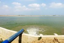 مازندران قطب تولید ۱۳ محصول کشاورزی کشور است