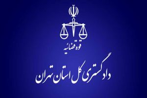 ۱۲ مدعی نفوذ در فرایند انتخابات دستگیر شدند